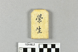 16446.3