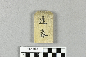 16446.4