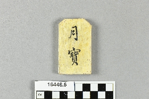 16446.6