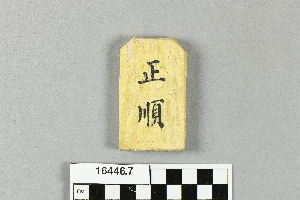 16446.7