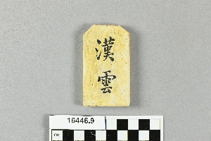 16446.9
