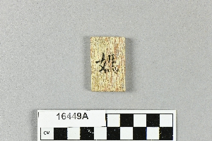 16449A