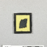 643573