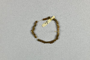P1310G