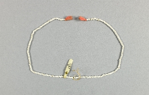 P1311B