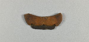 P1394