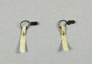 P1446D