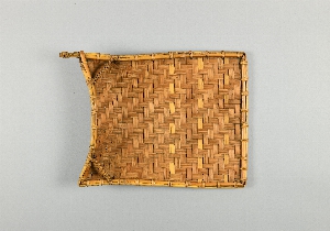 P1484B