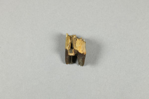 L-5-58C
