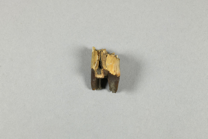 646512