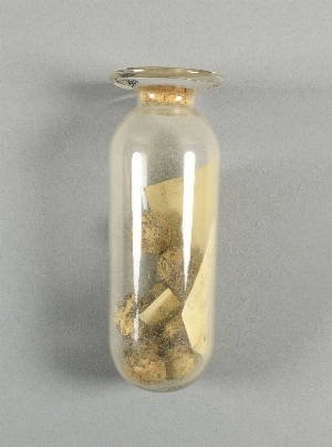 P1586