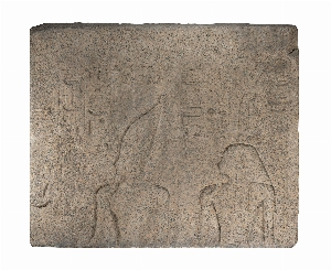 E224
