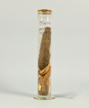 P1605