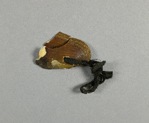 P1572