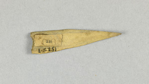 L-5-251