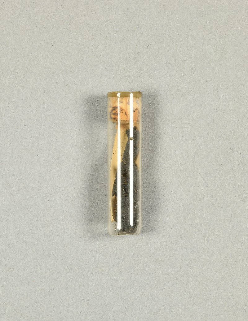 650654