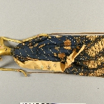 651063