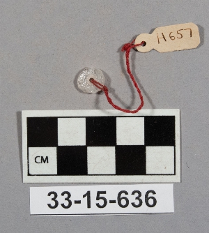 33-15-636