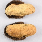 651712