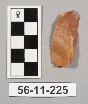 56-11-225