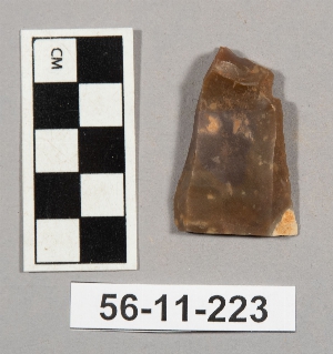 56-11-223