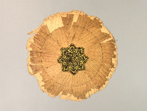 P273C