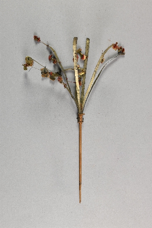 P1326