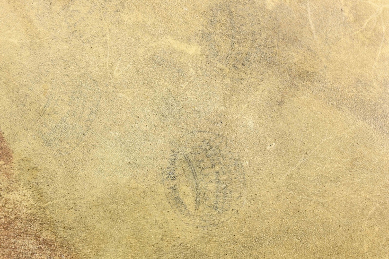 653767