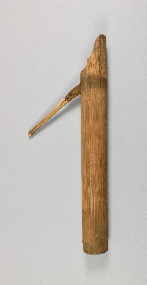 P369A