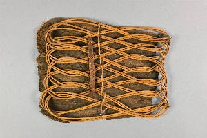P629