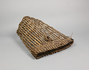 P668