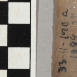 655981