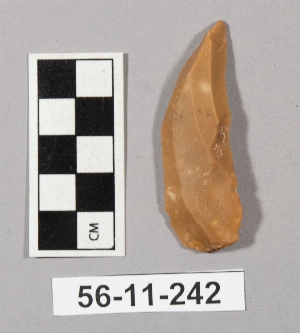 56-11-242