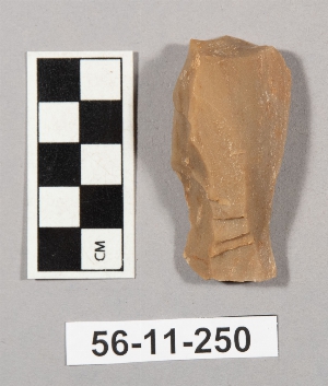 56-11-250