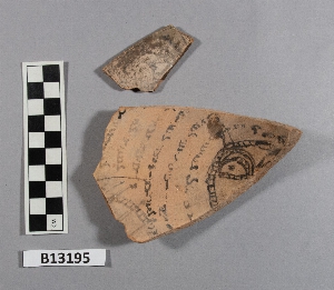 B13195