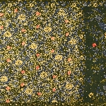658516