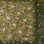 658517