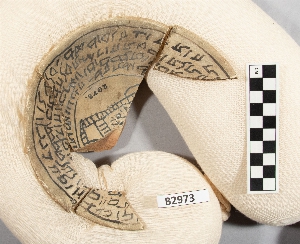 B2973