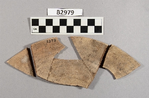 B2979