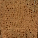 659871