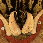 659901