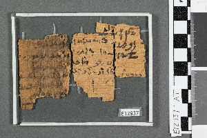 E12937