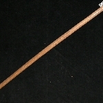 660427