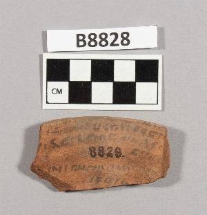 B8828