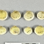 661550