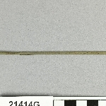 661592
