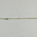 661604