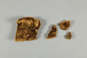 A509