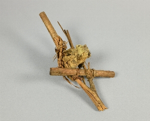 A495