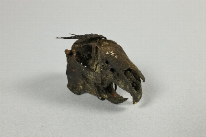 A496